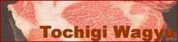 Tochigi Wagyu