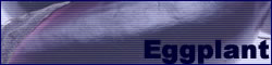 Eggplant