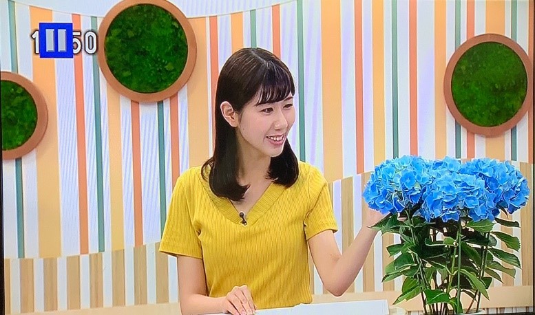 ｎｈｋローカル番組 ちょこトチ とちぎ６３０ における花のご紹介 ５ ６月分 とちぎ農産物マーケティング協会